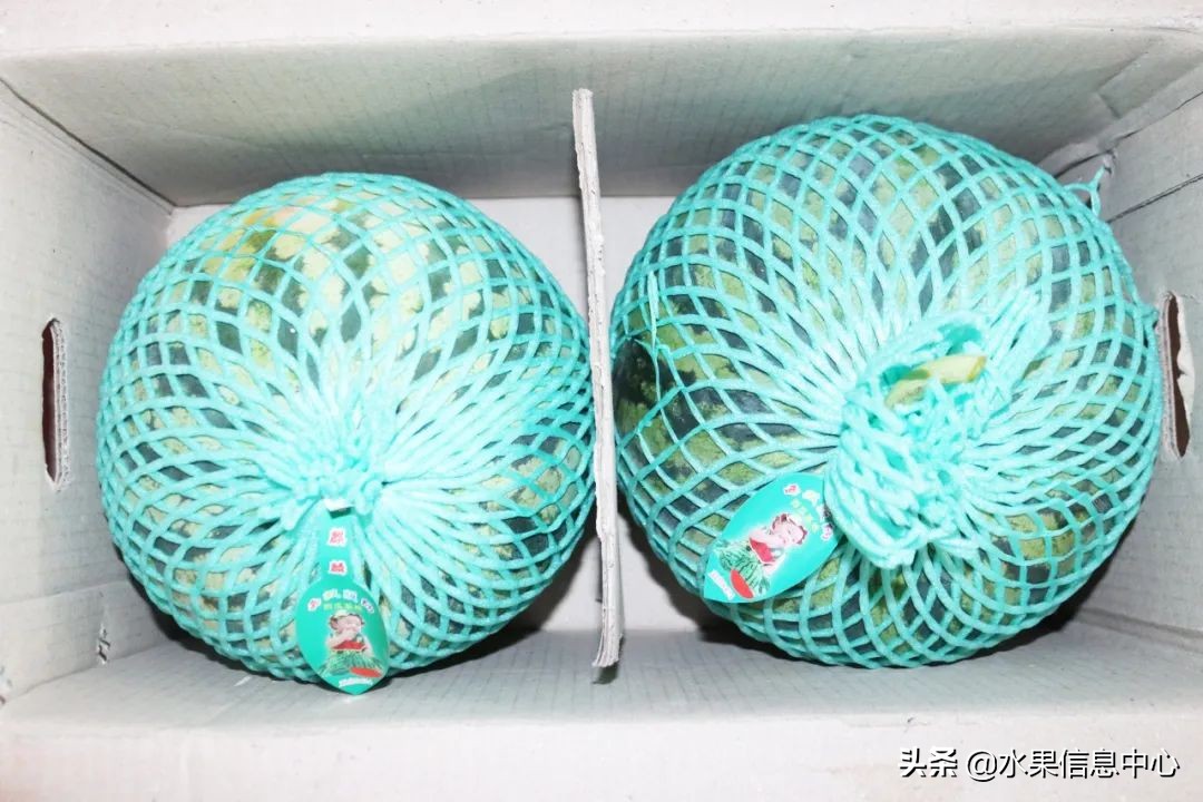 水果批发市场卖水果怎么收费,新手去水果批发市场的几大技巧