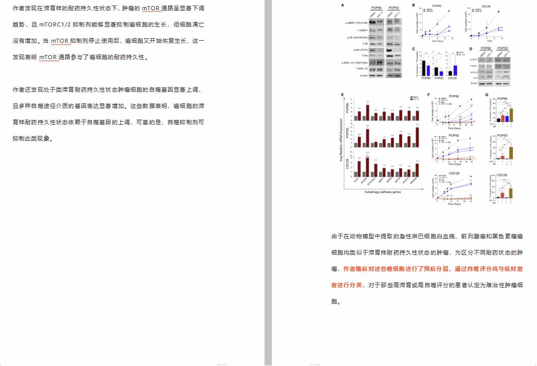 科研必杀技高效阅读和整顿文献,如何有效提取文献中的重要信息
