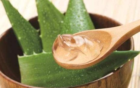 夜间护肤涂芦荟胶的正确步骤,夏日芦荟胶的正确用法
