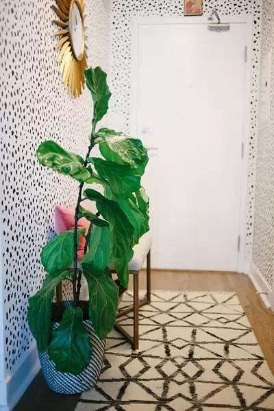 实用的家居创意设计,6个极具创意的室内家居设计