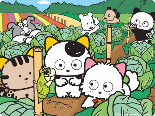 8090中国引进日本动画片,中国引进的日本动画片