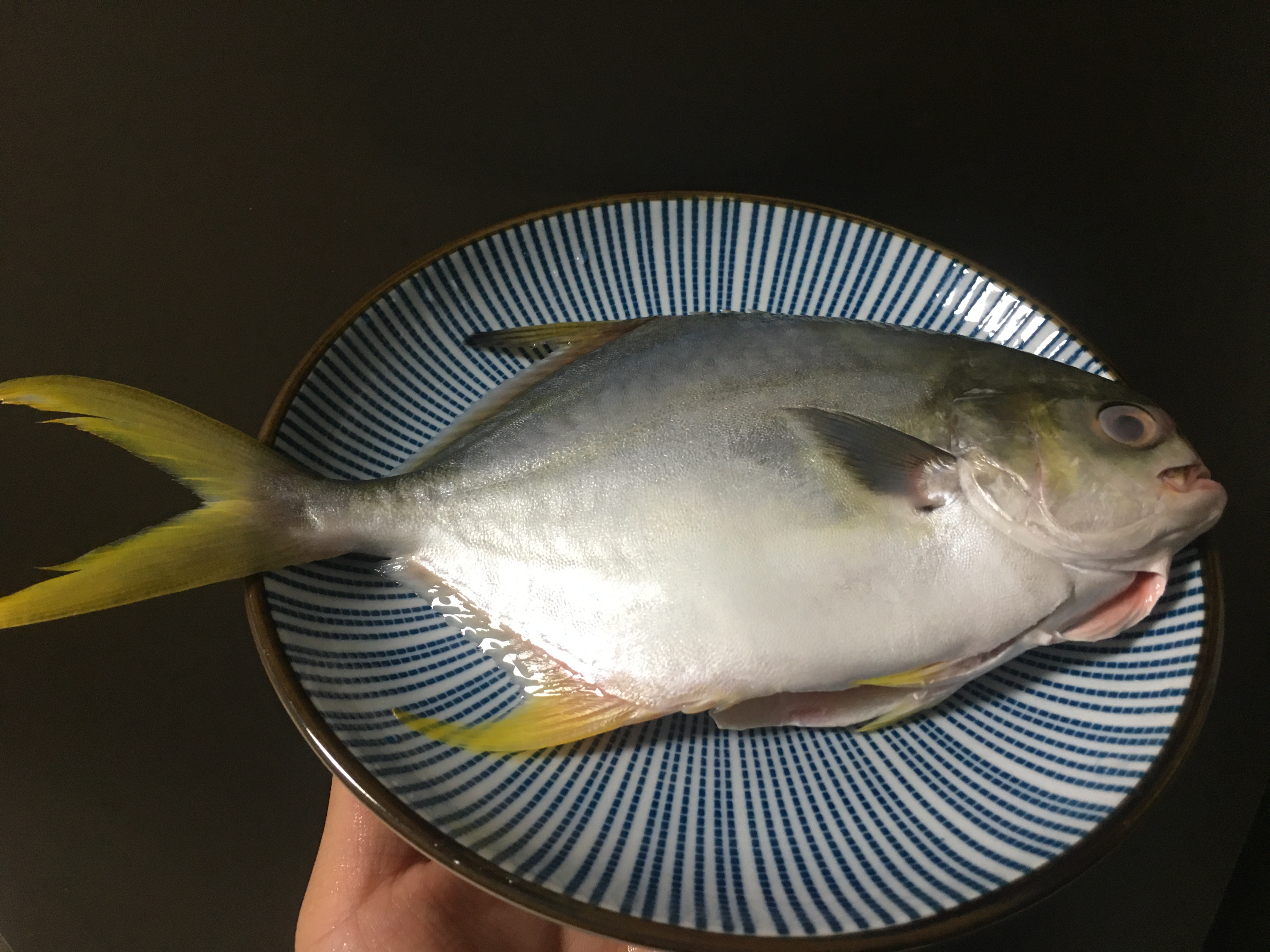 红烧金鲳鱼简单又美味,红烧金鲳鱼简单做法