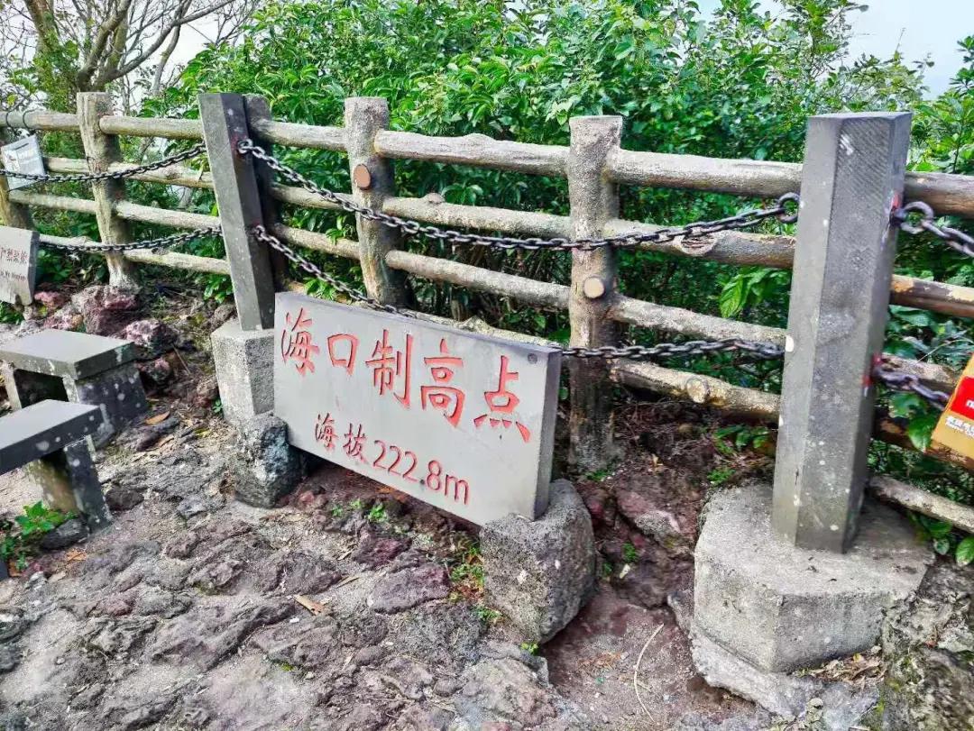 移动大沙发日产天籁,移动大沙发日产天籁2.0舒适版