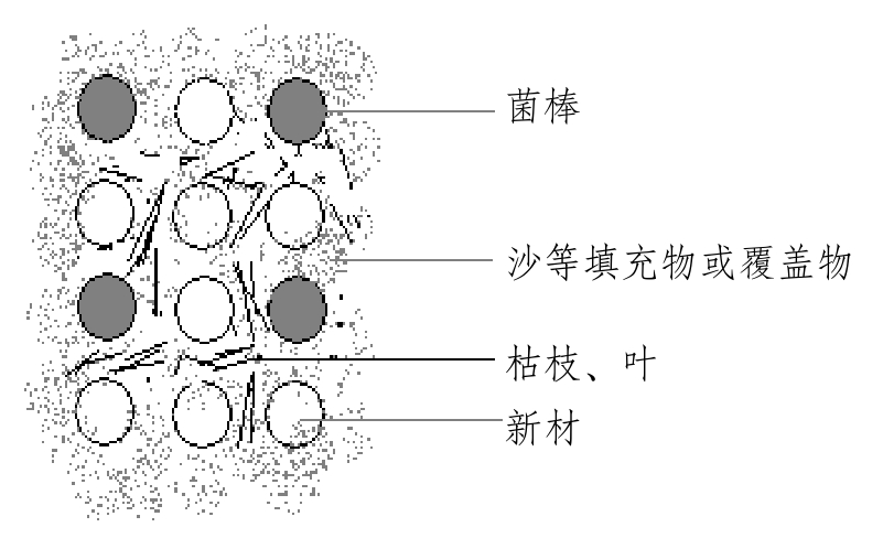 天麻种植技术与栽培管理专家讲解,天麻种植技术怎样管理