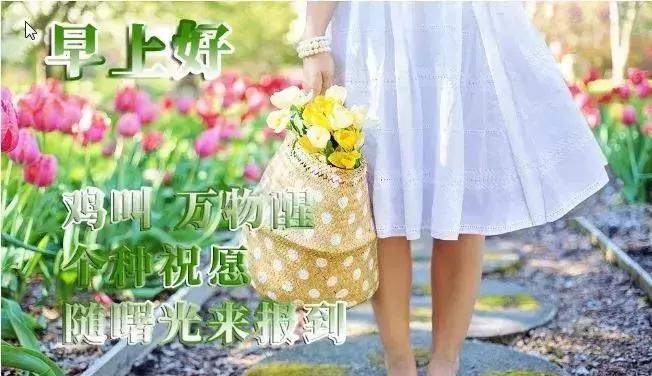 生活不易请善待自己早上好,感悟人生百态早上好