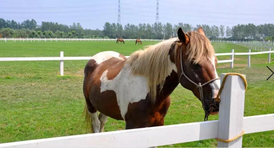 泰州溱湖湿地民宿,泰州溱湖云海温泉酒店