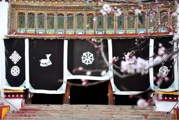 稻城亚丁白云,稻城亚丁风景没有想象中的那么美