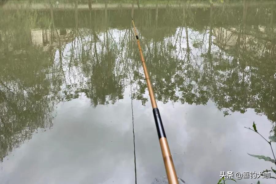 百元钓竿推荐性价比,推荐一款500元左右的钓竿