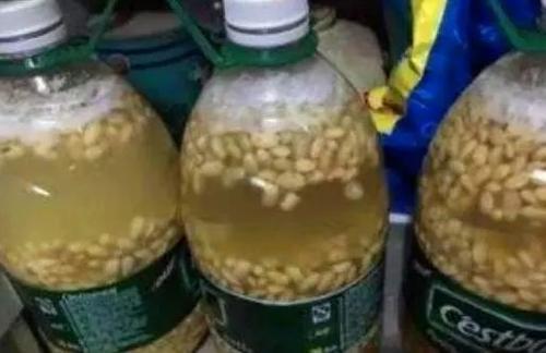 水养绿萝怎么养才能爆盆和爬满墙,水养绿萝的养殖方法和注意事项