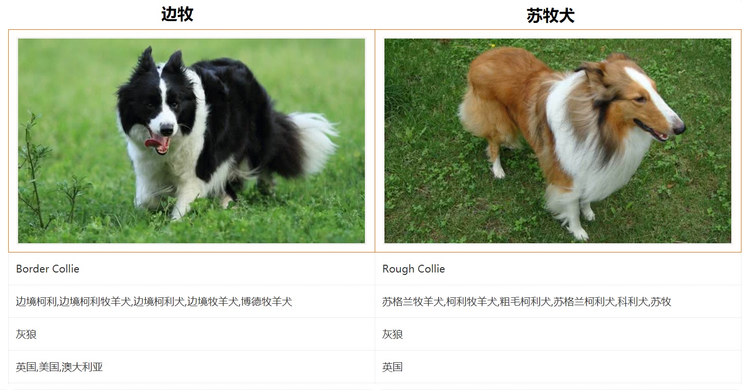 羊群里怎么训练一只领头羊,羊群的领头羊是怎样产生的