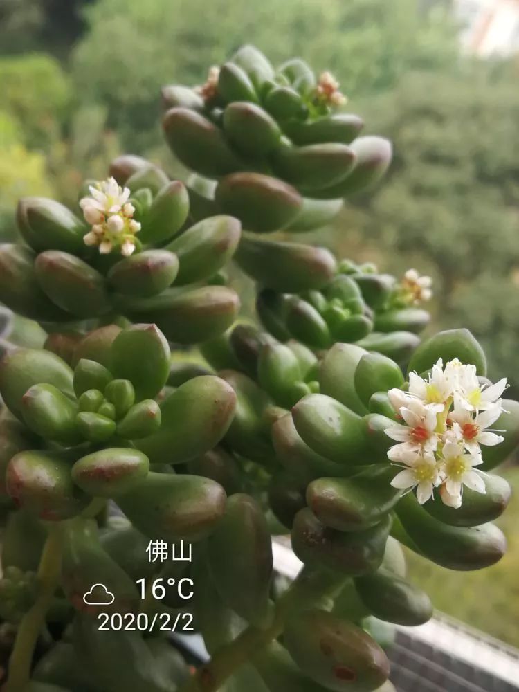 一杯清茶一道暖阳,一杯清茶温暖的时光