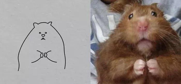 一波可爱动物简笔画,超火的简笔画动图