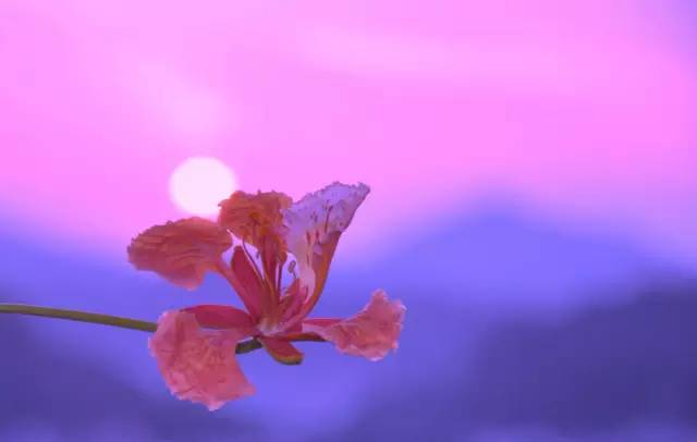 毕业季的凤凰花和栀子花,毕业季凤凰花开的时候