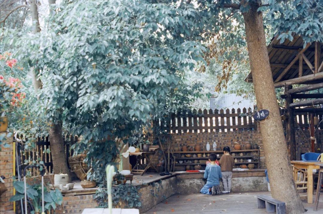 租下城郊200㎡小院，和陌生人一起生活5年：唱歌、染布、盖树屋