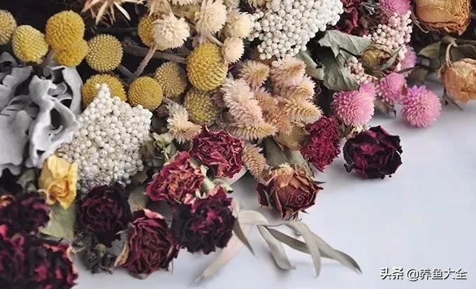 8种能做干花的鲜花，男朋友送的花就这么做