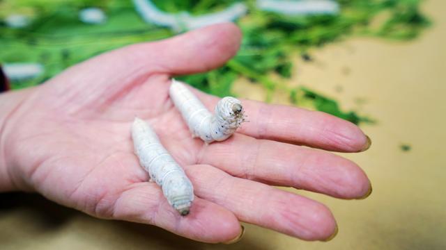 中国最低调小城市,中国最低调小镇