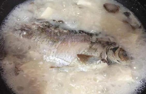 炖鱼汤选用什么鱼最好吃,炖鱼汤一般什么鱼炖的好吃