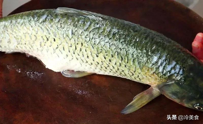 草鱼怎么炖鱼汤好喝又营养,草鱼怎么炖鱼汤好喝