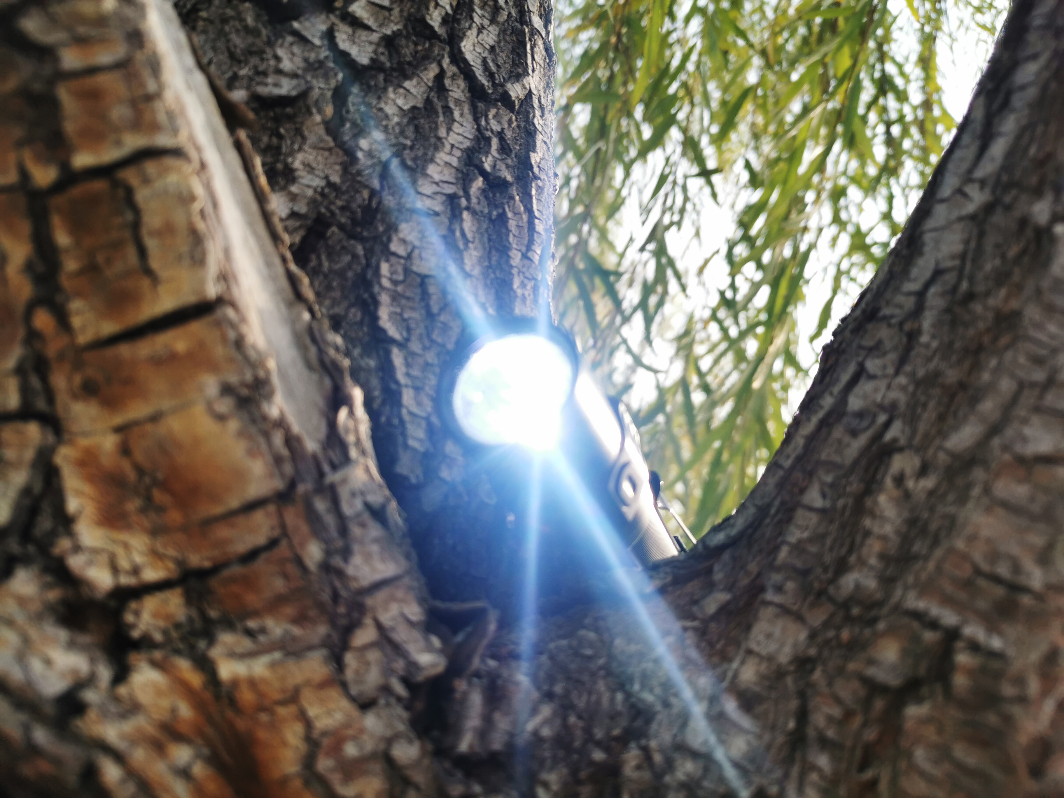 户外手电也能杀菌？FenixLD32手电化身成为抗疫EDC