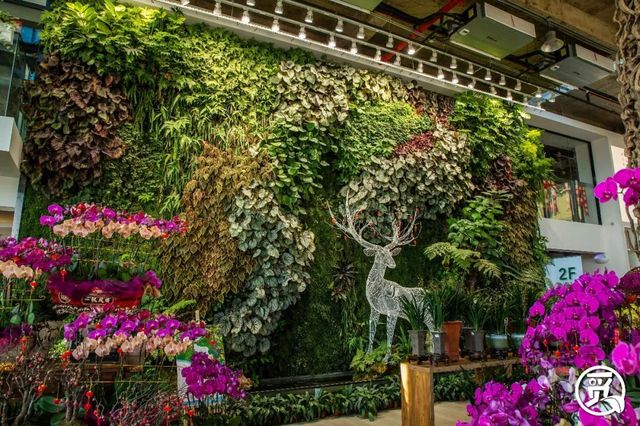 深圳花店有什么花,深圳龙华花店订花送花