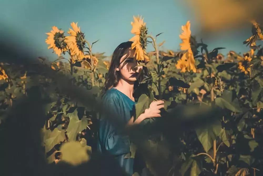 从2000年到2023年的歌最火的,1999年到现在经典歌曲