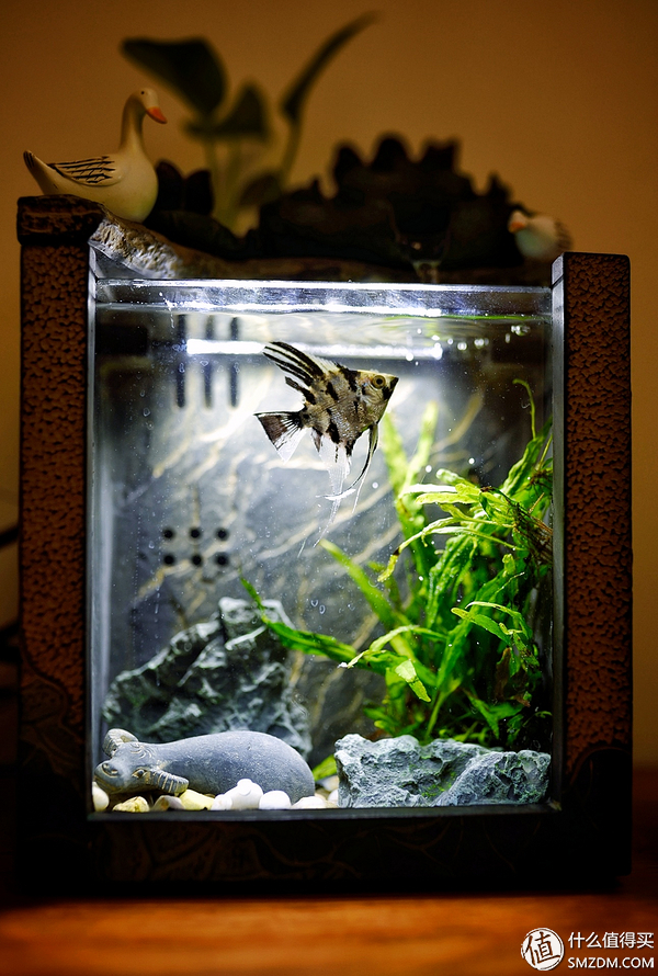 男性实用礼物,男性实用礼物推荐