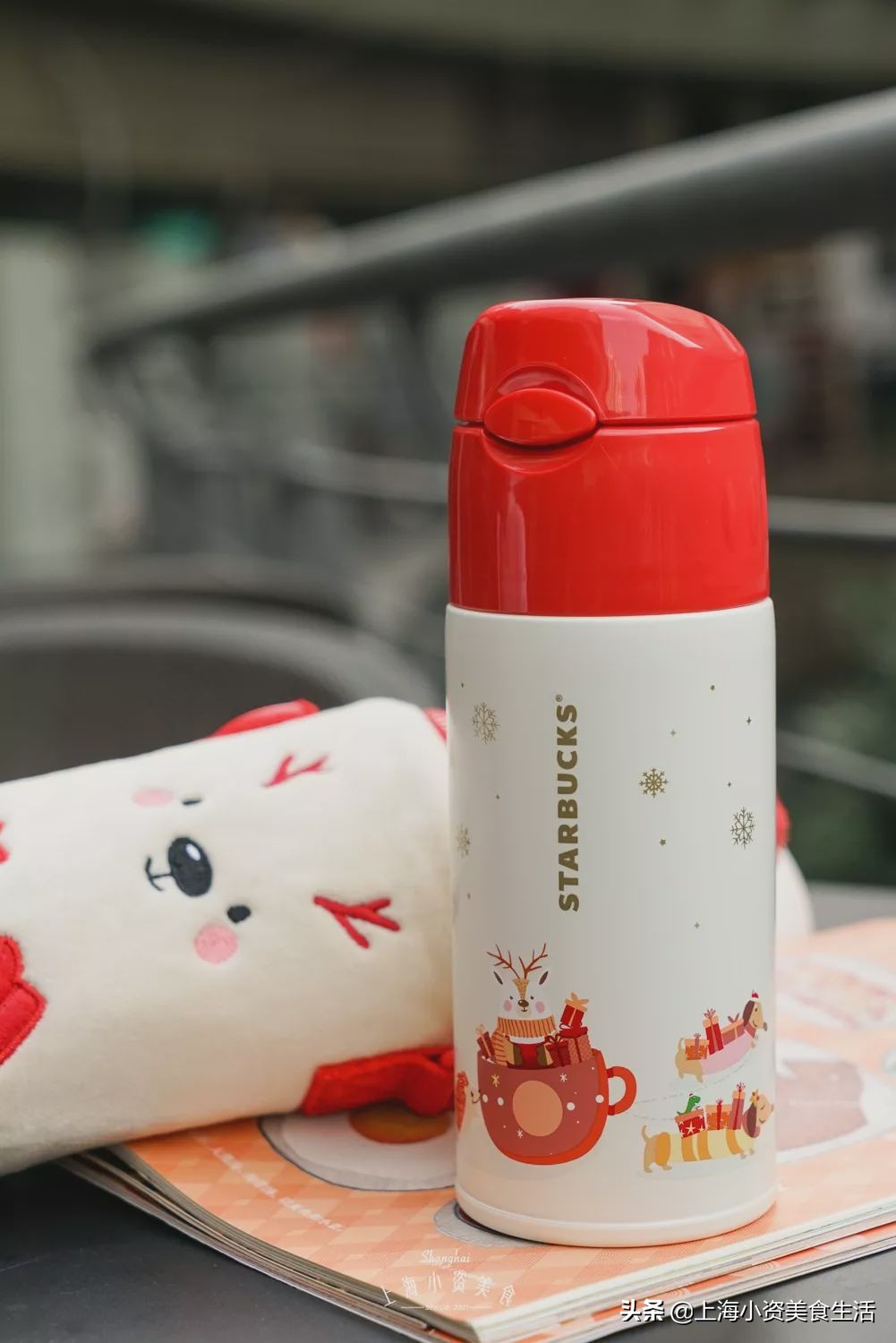 星巴克刺猬冷萃保温杯,星巴克保温杯小刺猬