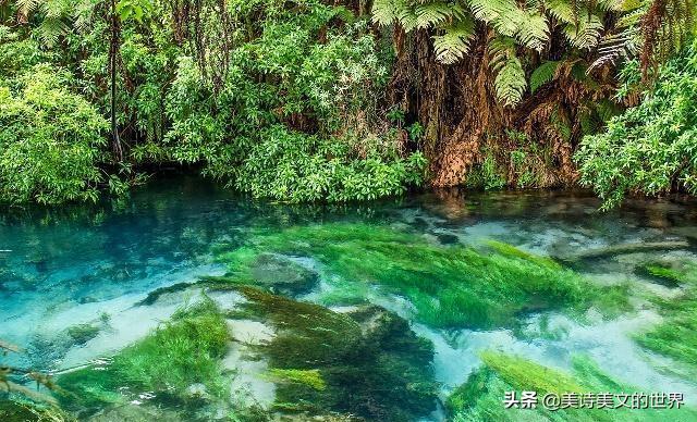 白居易写诗吐槽上班,白居易嫌工作太累