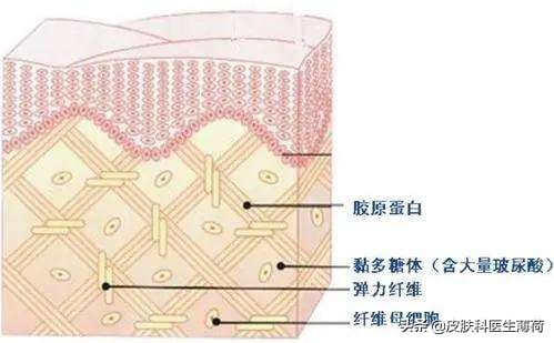 提高皮肤免疫力护肤,提高皮肤自愈力