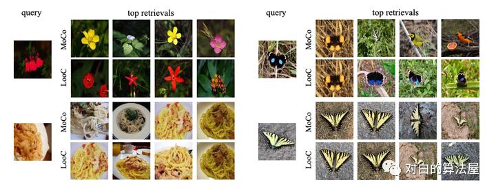 万物皆ContrastiveLearning，从ICLR和NIPS上解读最新研究进展