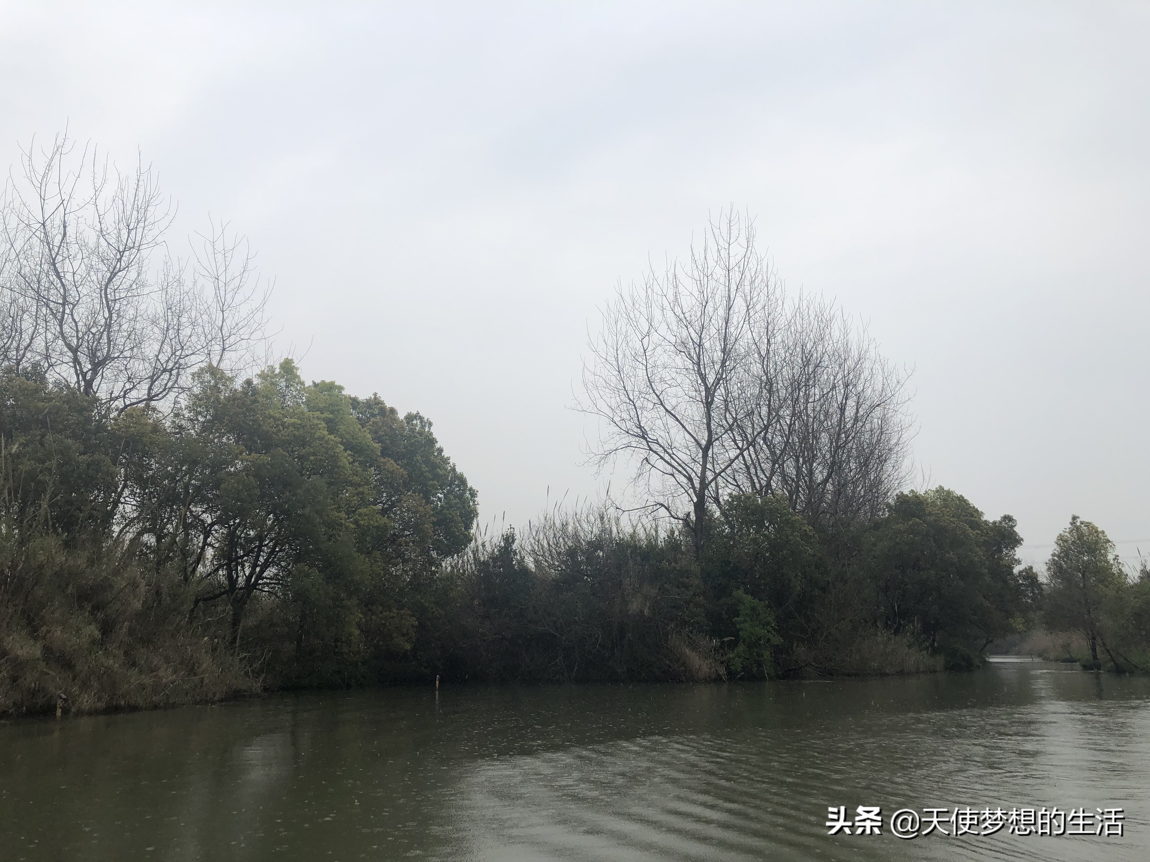 苏州常熟沙家浜有什么好玩的,常熟沙家浜芦苇荡