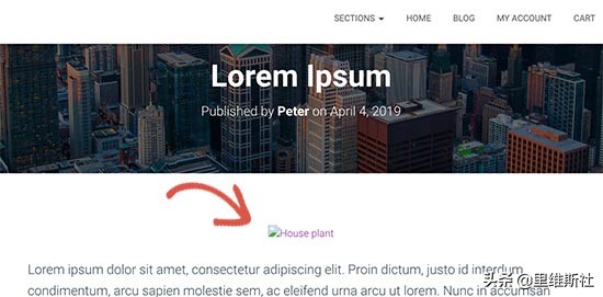 wordpress网站结构优化,wordpress网站能做到多漂亮