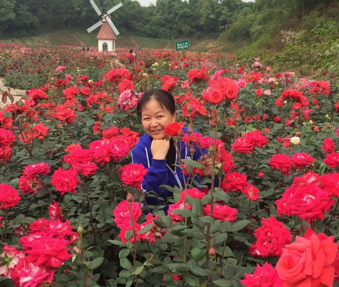 中国大妈旅游标配动作合集,中国大妈旅游拍摄姿势