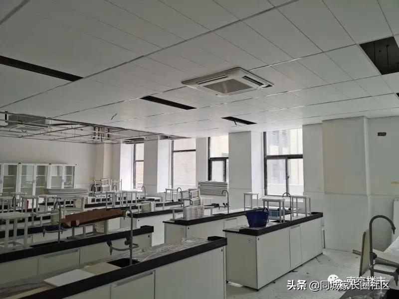 鼓楼树人中学公办分校,南京市力小有哪些分校