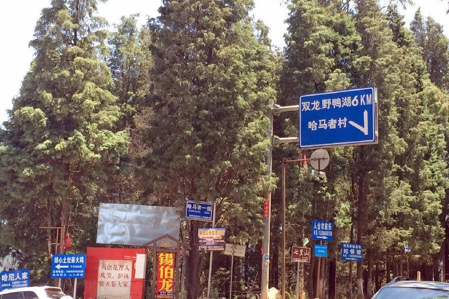 昆明周边亲子游自驾游攻略,五一周边短途自驾游昆明