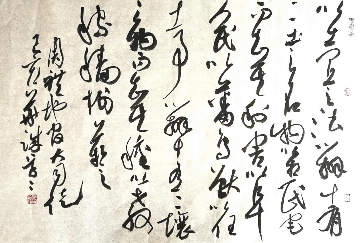 现代书法家华奎,当代书法家华伟