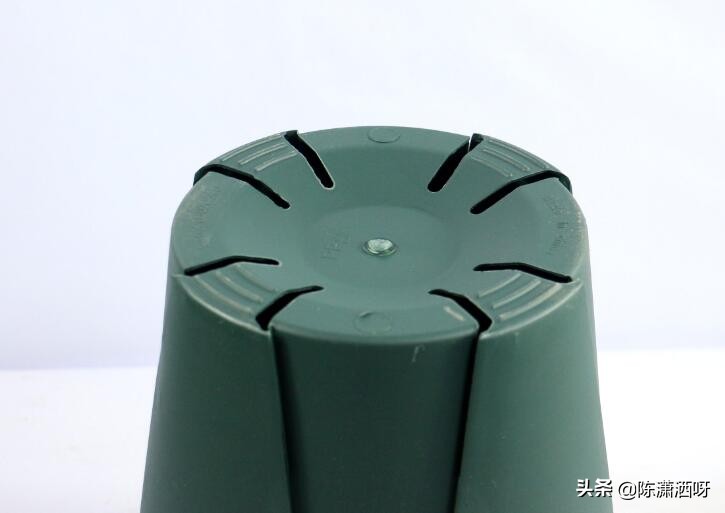 常见花卉花盆图片大全,各种花盆的优缺点图片介绍