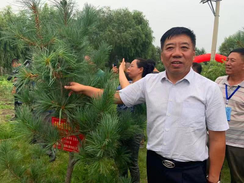 黑龙江宏泰松果有限公司,黑龙江宏泰松果