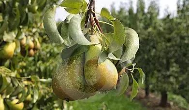 丹东旅游攻略吃喝玩乐,丹东旅游攻略多少钱