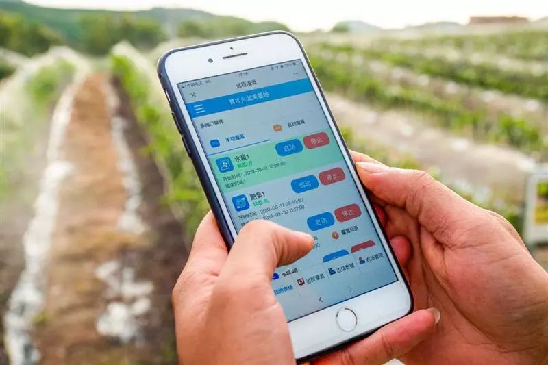 教你如何正确种植不要钱的火龙果,活了30年才知道种火龙果这么简单