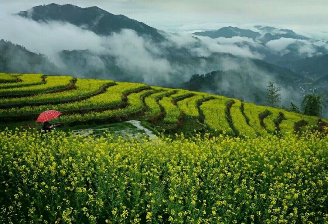 首批中国少数民族特点村寨,中国少数民族特点村寨第一批名录