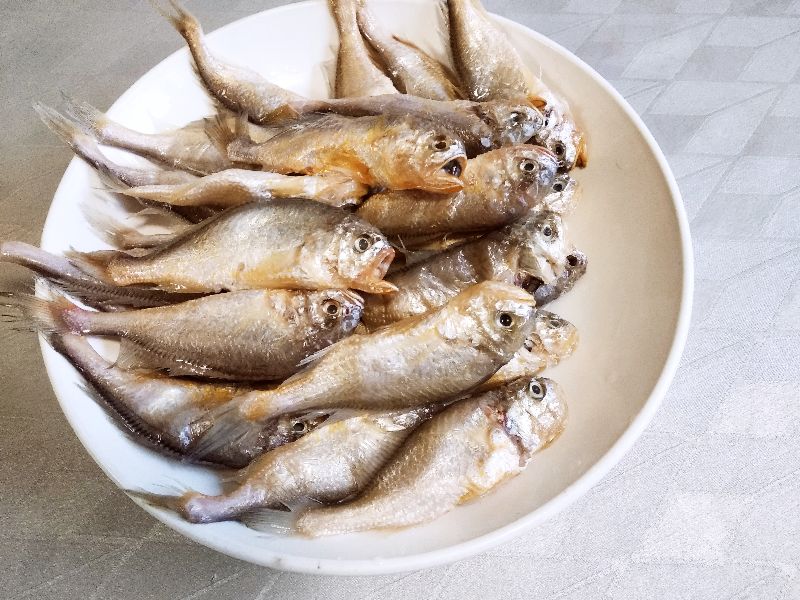 市场上这6种鱼放心购买,市场上卖的鱼哪些是不能养殖的