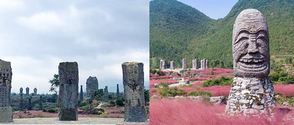 重庆周边游最美的季节赏天坪花海,重庆叠石花谷景区