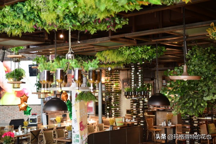 网红餐厅“胡桃里”的绿植布置|行摄