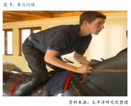 体育行业报告,体育赛马项目介绍