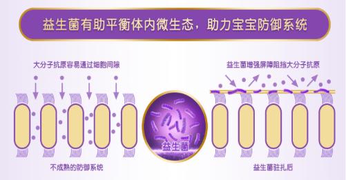 水解配方奶粉排名超启能恩,水解奶粉选超启能恩