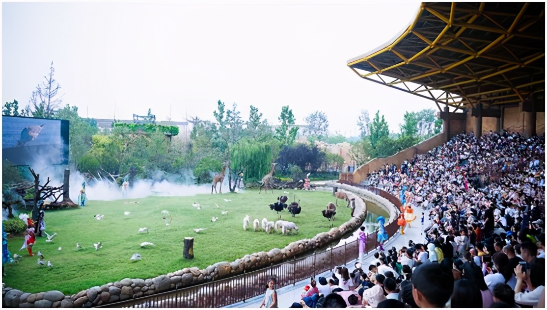 五一郑州哪儿旅游比较好,郑州五一游玩全攻略