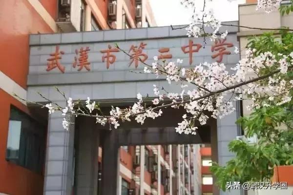 武汉比较好的中学,湖北武汉好的小学中学