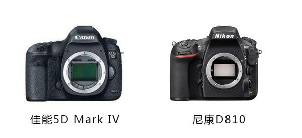 摄影教程30天0基础变身摄影达人,超全的摄影干货