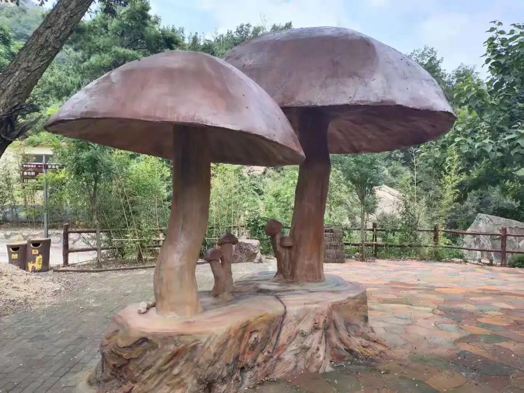 距离济南市区车程1.5小时，居然还藏着这么个游玩胜地，风光绝美令人羡艳，值得去打卡！